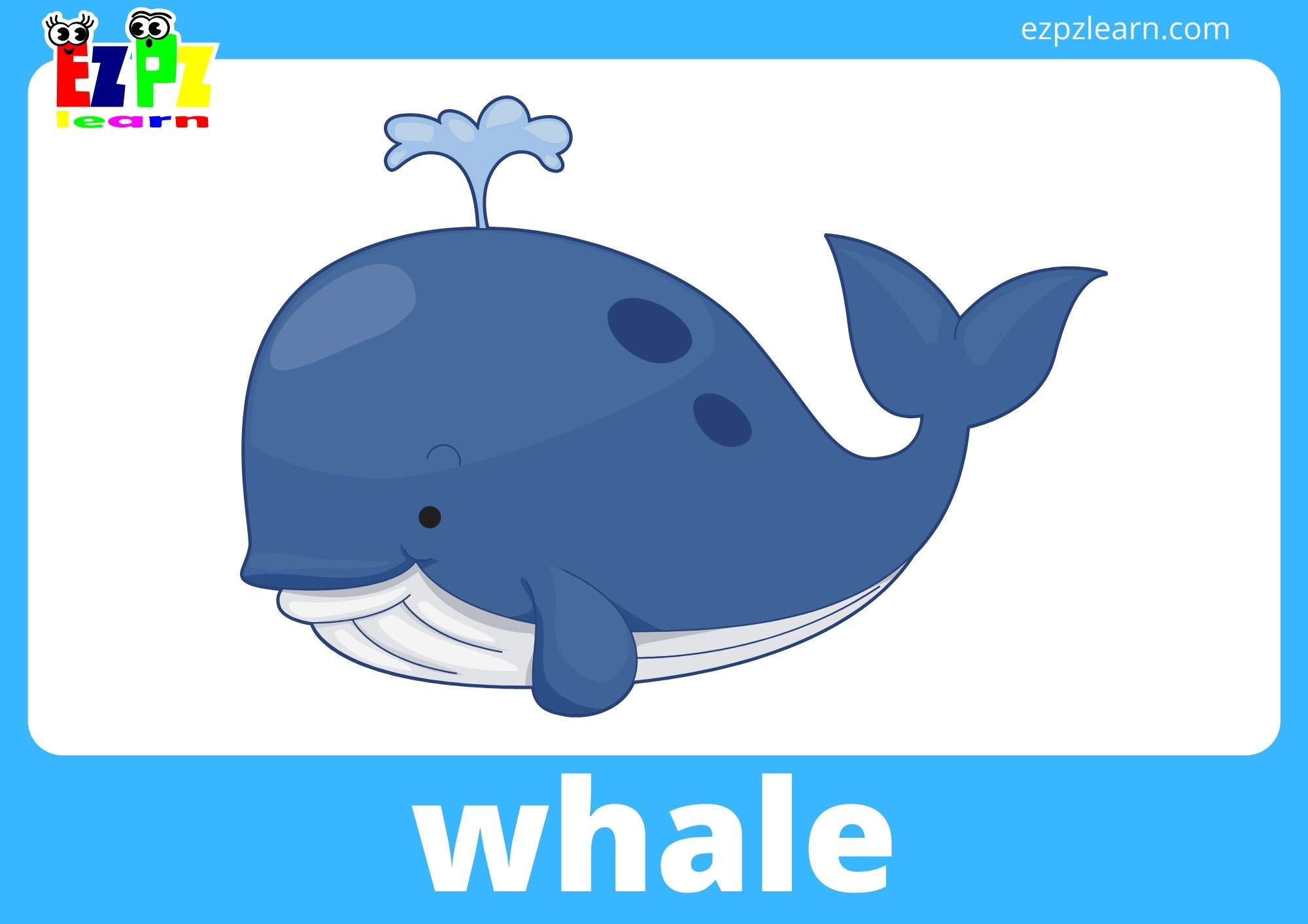 whale